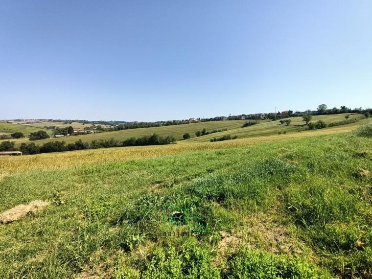 Fano - zona caminate - rustico casolare cascina in vendita