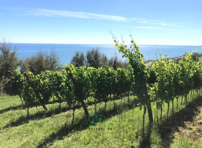 Fano - zona san biagio - rustico casolare cascina in vendita
