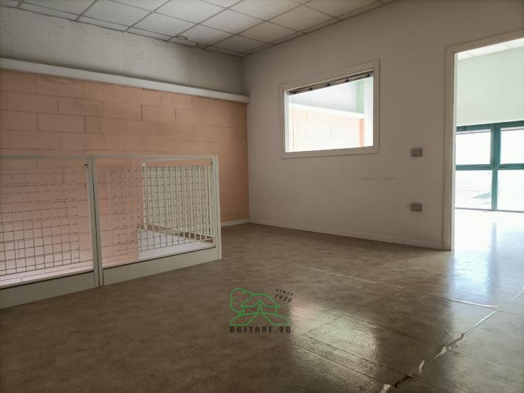 Fano - zona zuccherificio - capannone in locazione