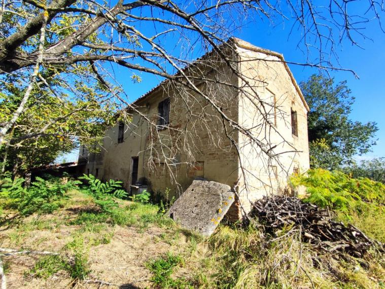 Fano - zona sant'andrea in villis - rustico casolare cascina in vendita