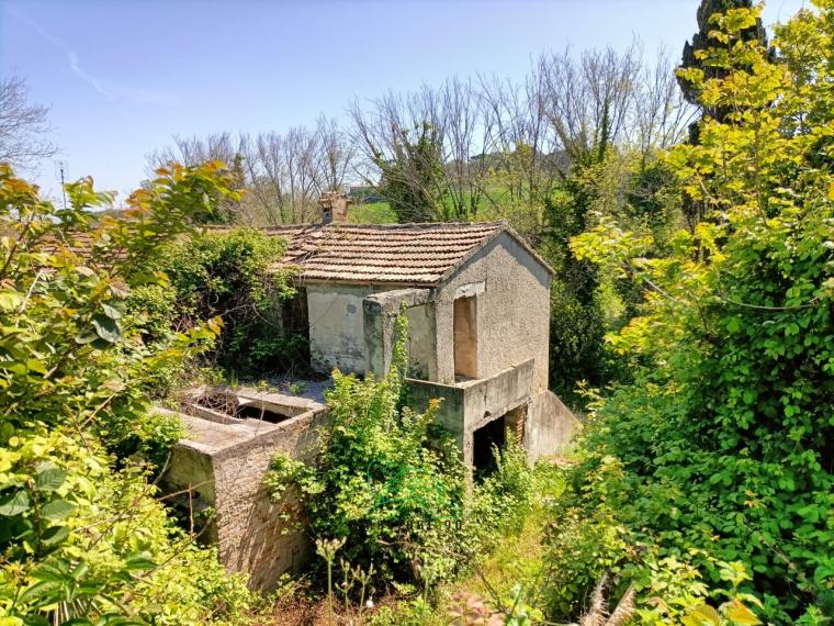 Fano - zona san biagio - rustico casolare cascina in vendita