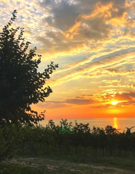 Fano - zona san biagio - rustico casolare cascina in vendita