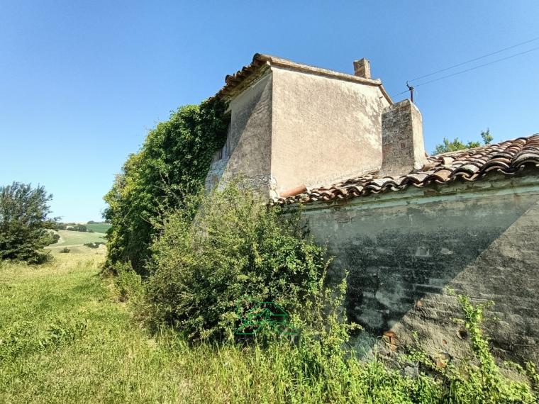 Fano - zona caminate - rustico casolare cascina in vendita