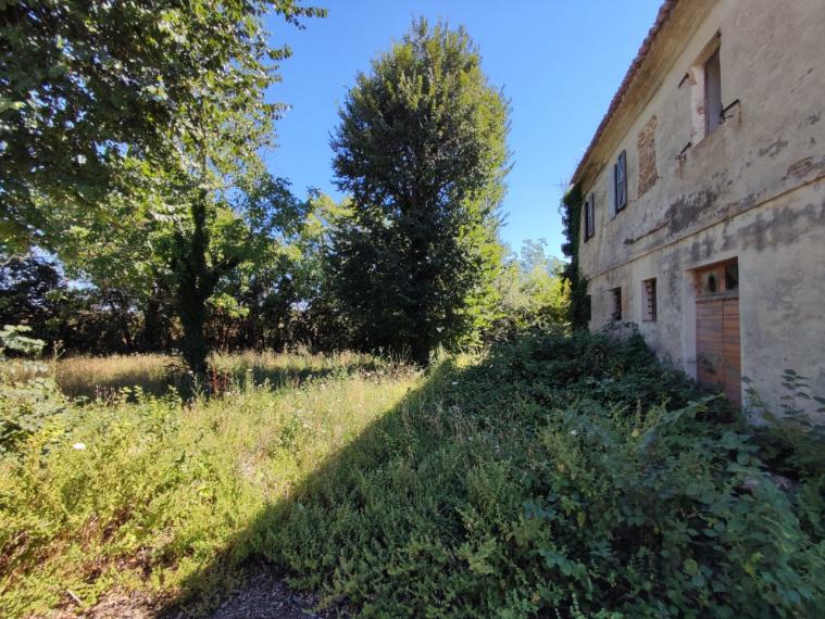 Cartoceto - rustico casolare cascina in vendita