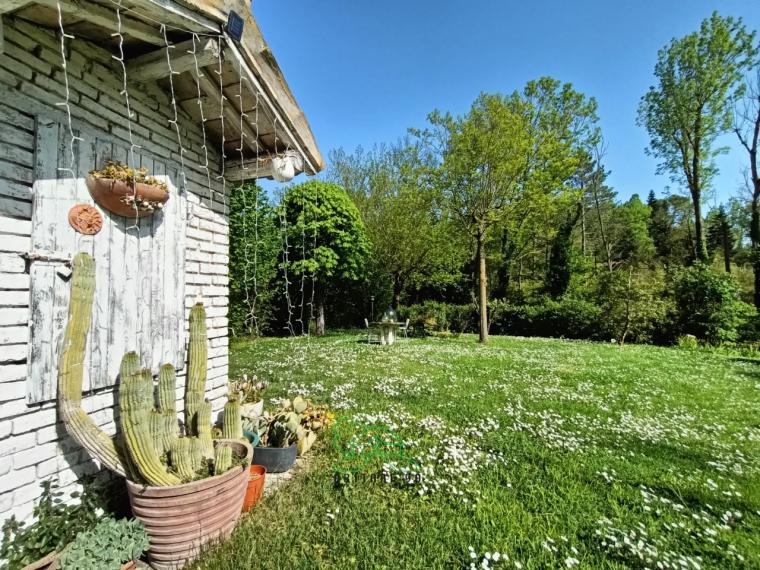 Fano - zona carignano - rustico casolare cascina in vendita
