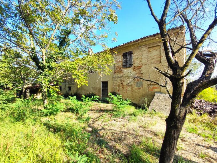 Fano - zona sant'andrea in villis - rustico casolare cascina in vendita