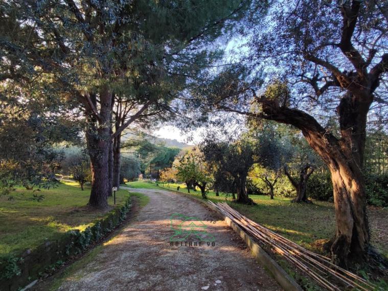 Fano - zona roncosambaccio - unifamiliare villa in vendita