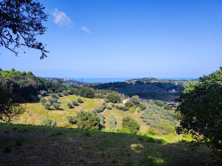 Fano - zona sant'andrea in villis - rustico casolare cascina in vendita
