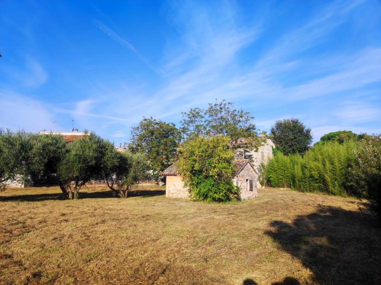 Cartoceto - rustico casolare cascina in vendita