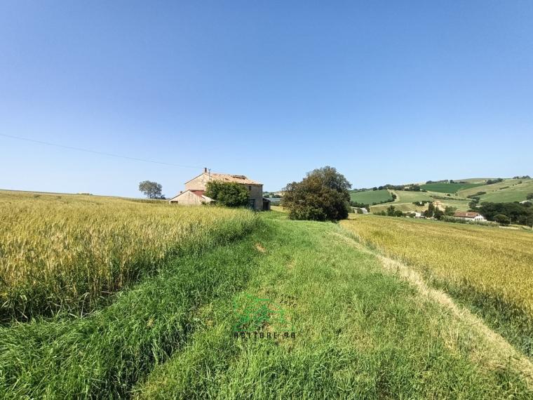 Fano - zona caminate - rustico casolare cascina in vendita