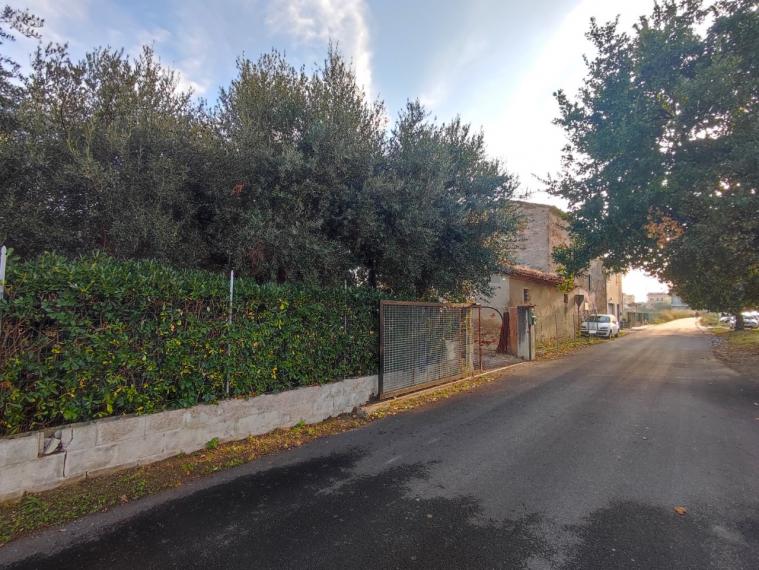 Fano - zona bellocchi - rustico casolare cascina in vendita