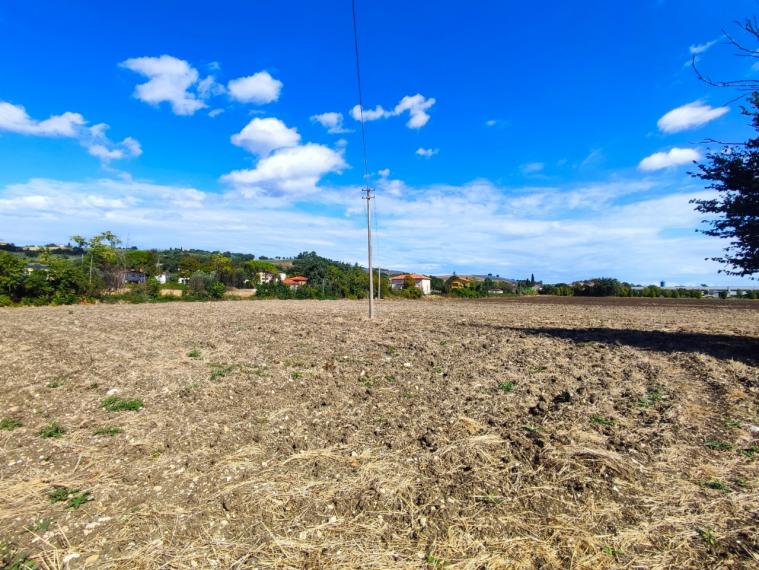 Fossombrone - rustico casolare cascina in vendita