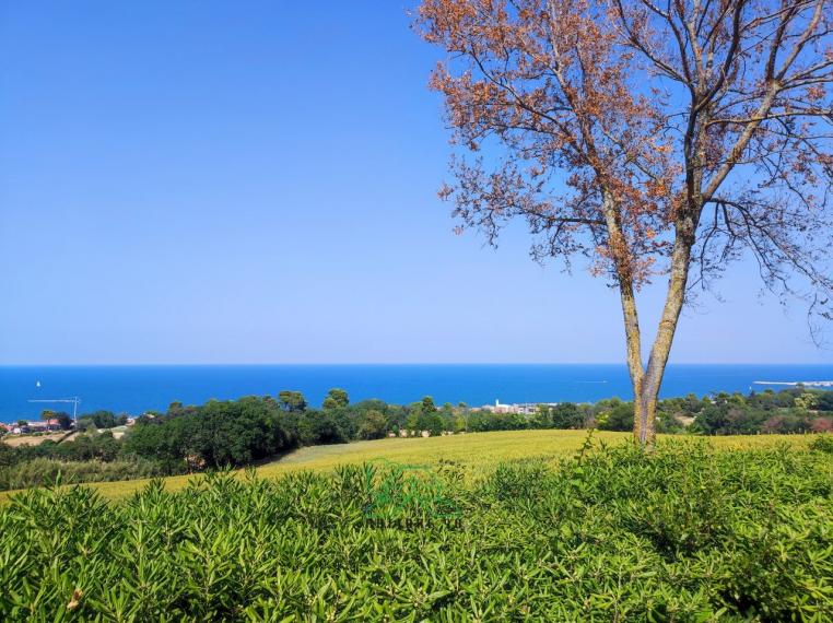 Fano - zona belgatto - unifamiliare villa in vendita