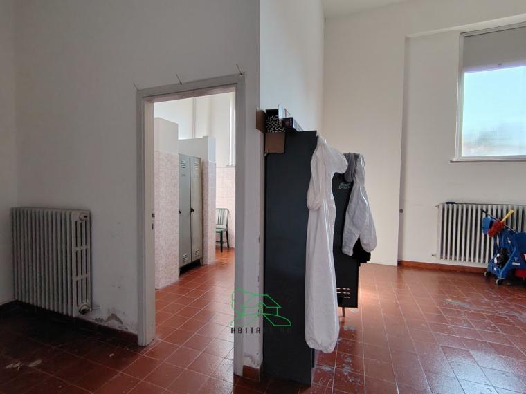 Fano - zona rosciano - capannone in vendita
