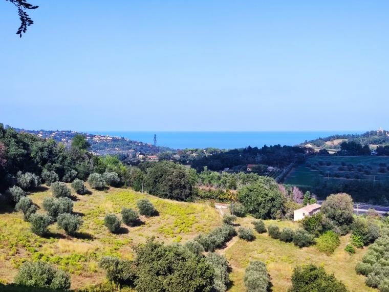 Fano - zona sant'andrea in villis - rustico casolare cascina in vendita