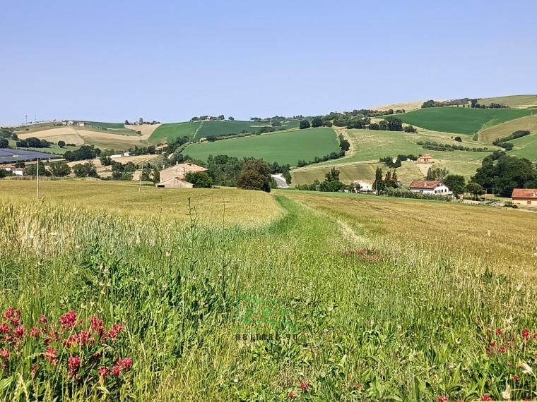 Fano - zona caminate - rustico casolare cascina in vendita