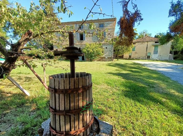 Colli al metauro - rustico casolare cascina in vendita