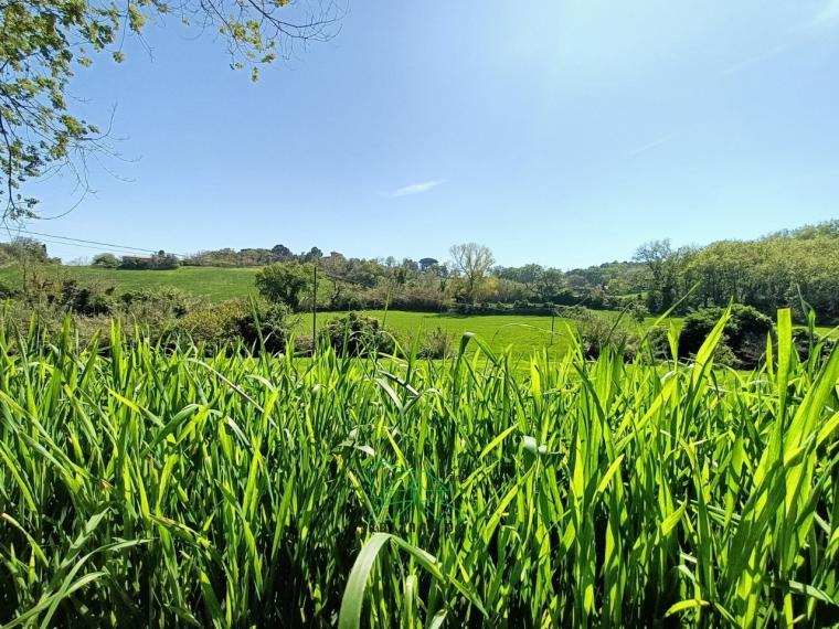 Fano - zona san biagio - rustico casolare cascina in vendita