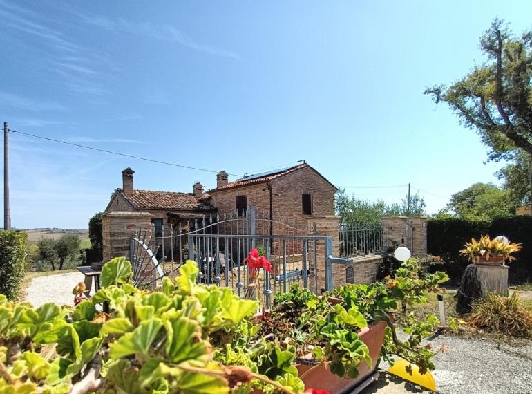 Cartoceto - rustico casolare cascina in vendita