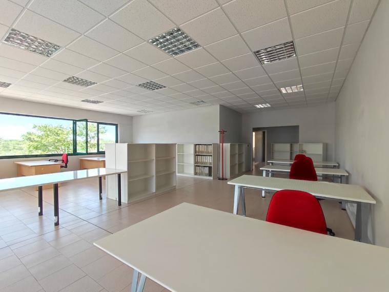Fano - zona metaurilia - ufficio in locazione