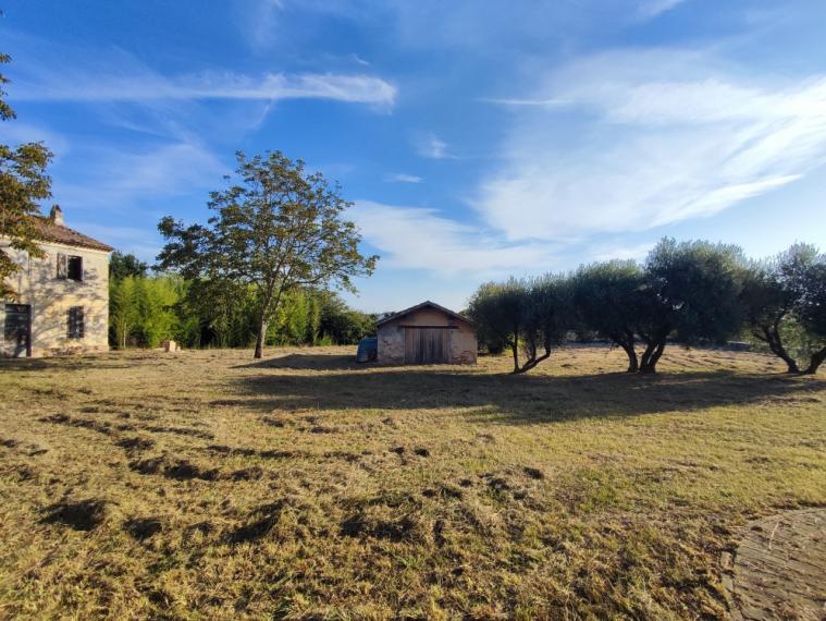 Cartoceto - rustico casolare cascina in vendita