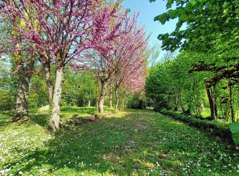 Fano - zona carignano - rustico casolare cascina in vendita