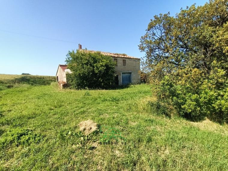 Fano - zona caminate - rustico casolare cascina in vendita