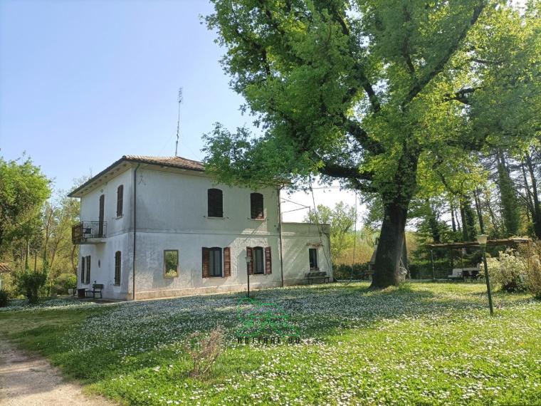 Fano - zona carignano - rustico casolare cascina in vendita