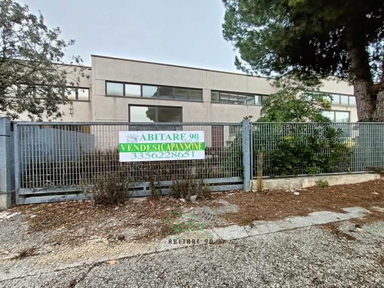 Fano - zona zuccherificio - capannone in vendita