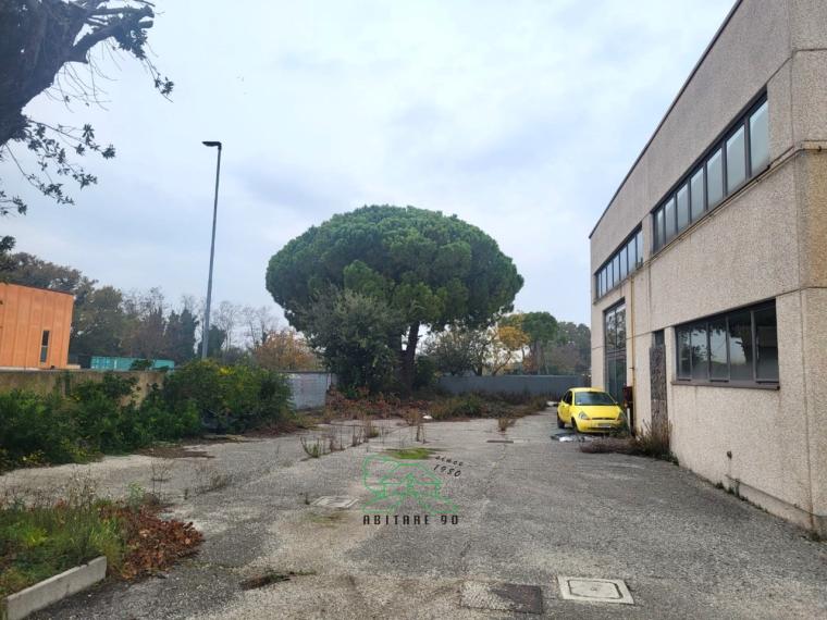 Fano - zona zuccherificio - capannone in vendita