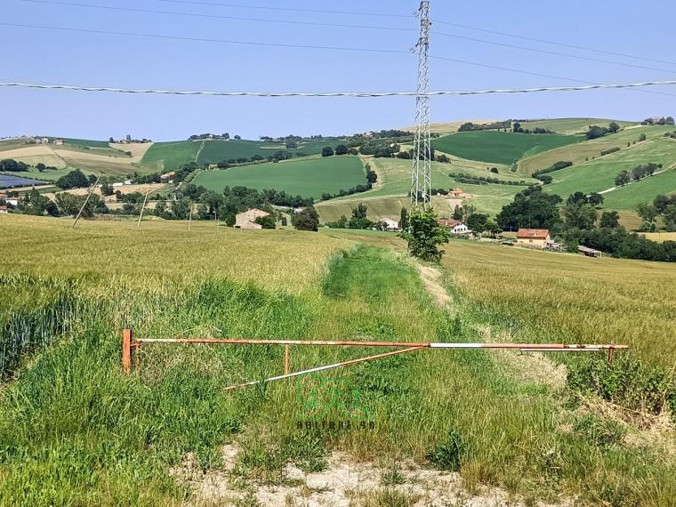 Fano - zona caminate - rustico casolare cascina in vendita