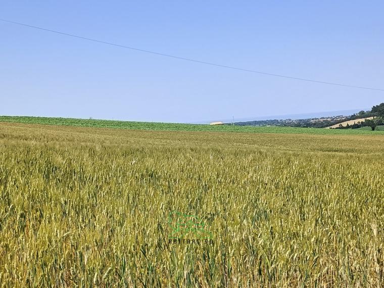 Fano - zona caminate - rustico casolare cascina in vendita