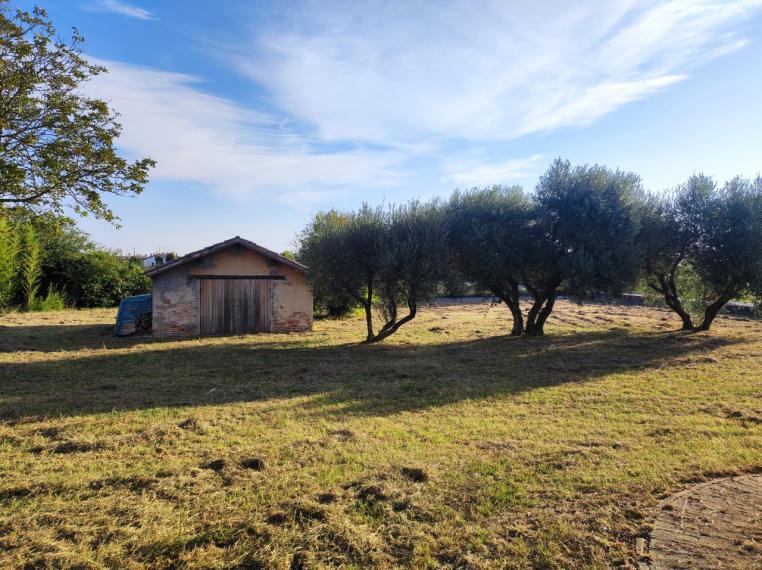 Cartoceto - rustico casolare cascina in vendita