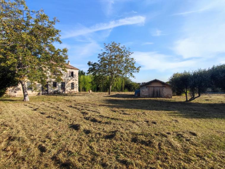 Cartoceto - rustico casolare cascina in vendita
