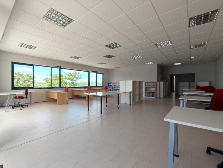Fano - zona metaurilia - ufficio in locazione