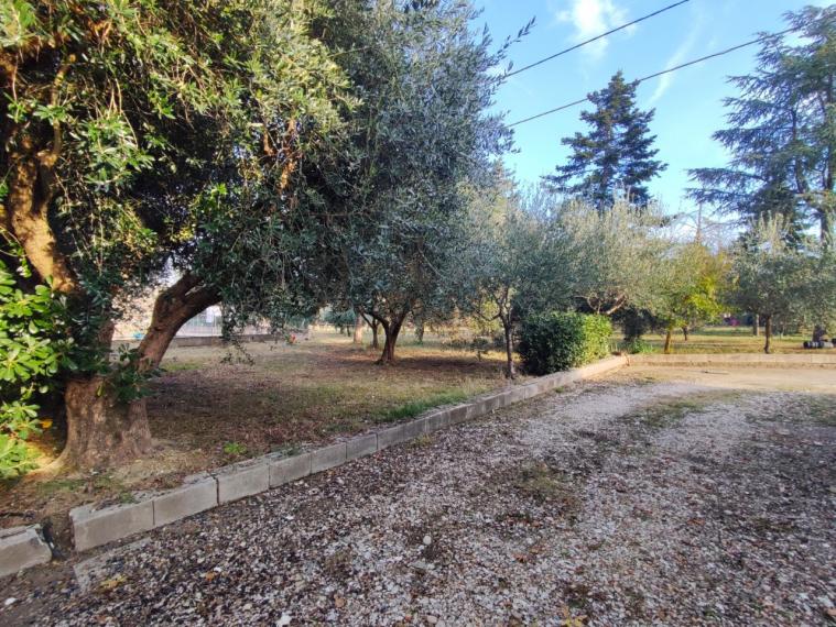 Fano - zona bellocchi - rustico casolare cascina in vendita