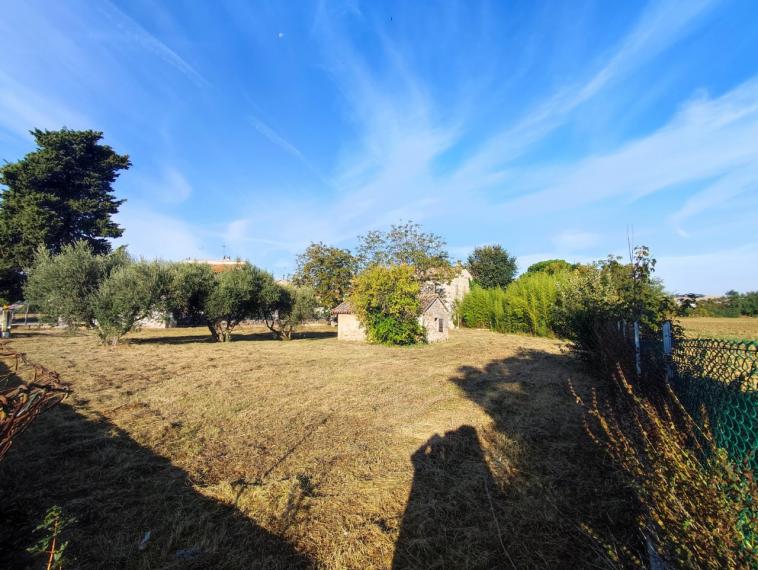 Cartoceto - rustico casolare cascina in vendita