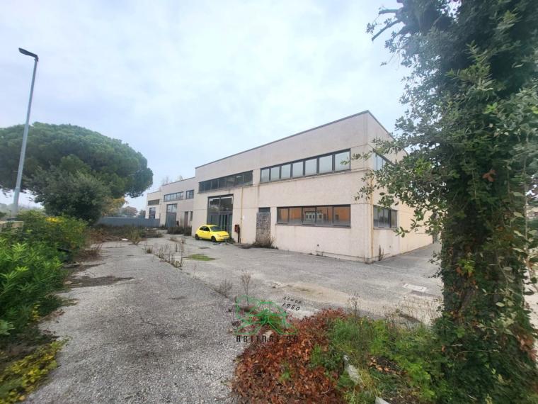 Fano - zona zuccherificio - capannone in vendita