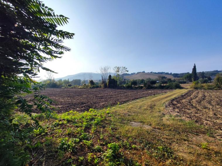 Fossombrone - rustico casolare cascina in vendita