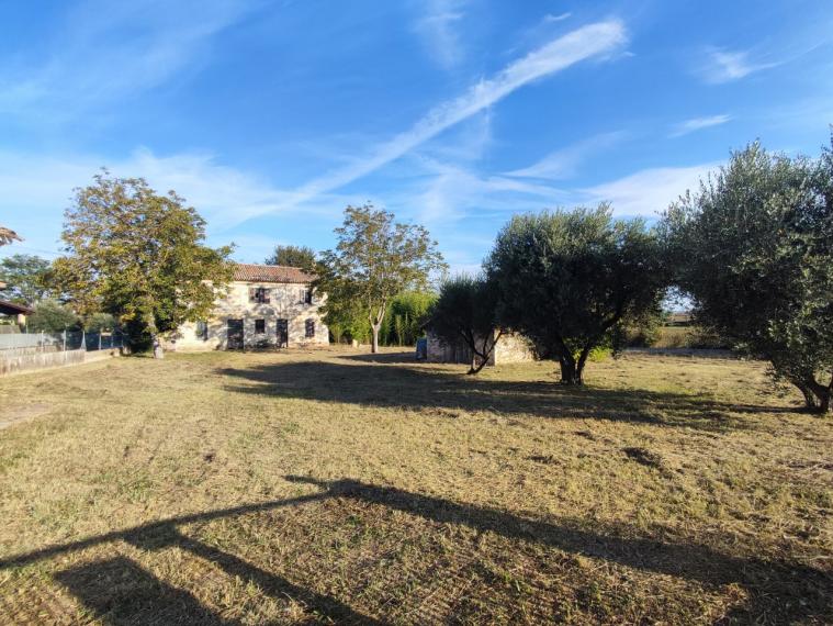 Cartoceto - rustico casolare cascina in vendita