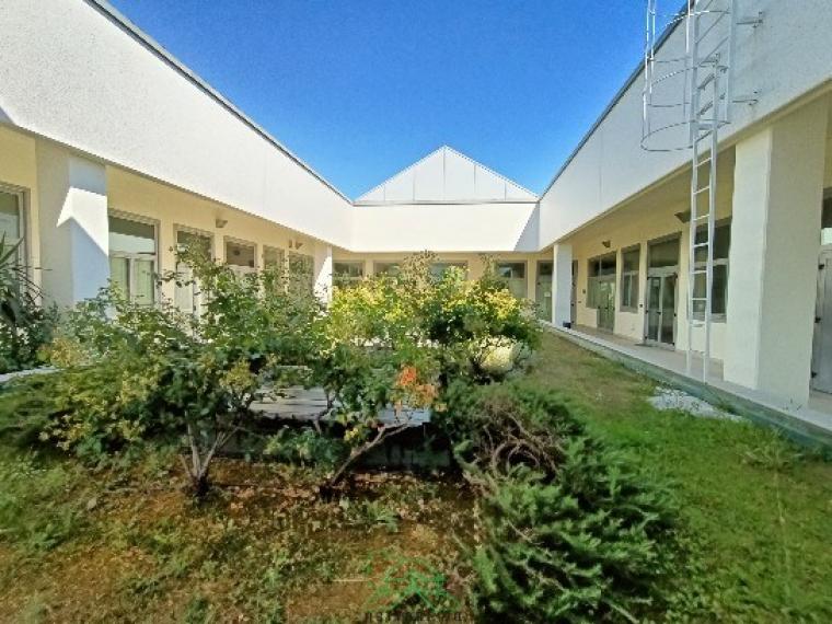 Fano - zona bellocchi - ufficio in locazione