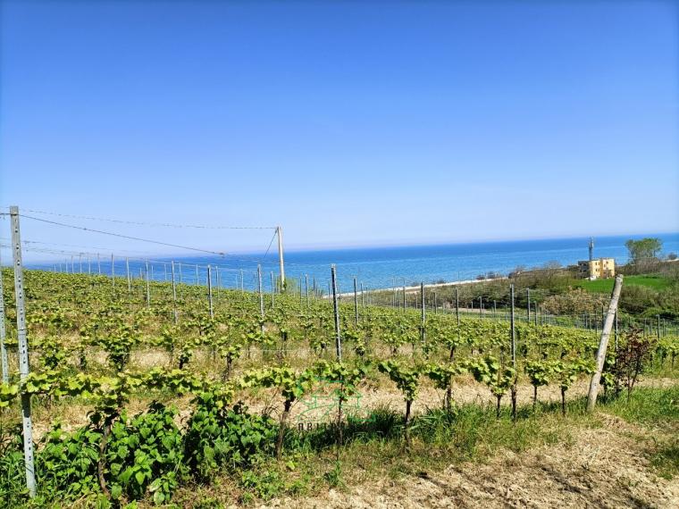 Fano - zona san biagio - rustico casolare cascina in vendita