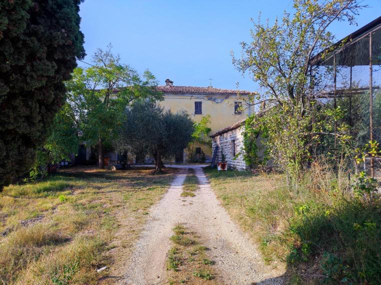 Fossombrone - rustico casolare cascina in vendita