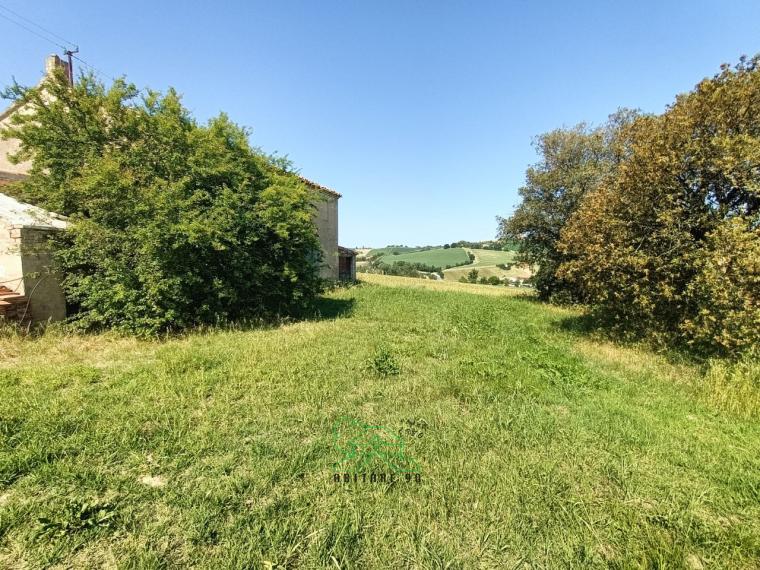 Fano - zona caminate - rustico casolare cascina in vendita