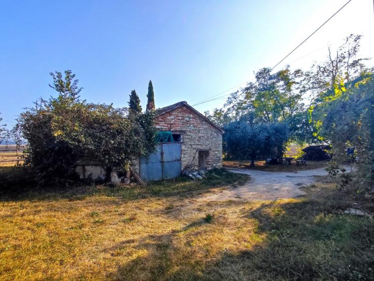 Fossombrone - rustico casolare cascina in vendita