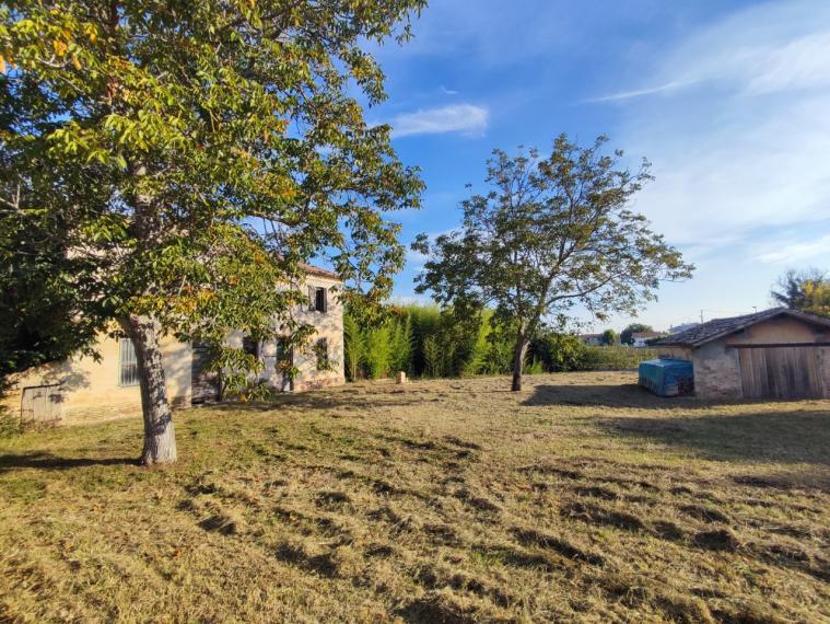 Cartoceto - rustico casolare cascina in vendita