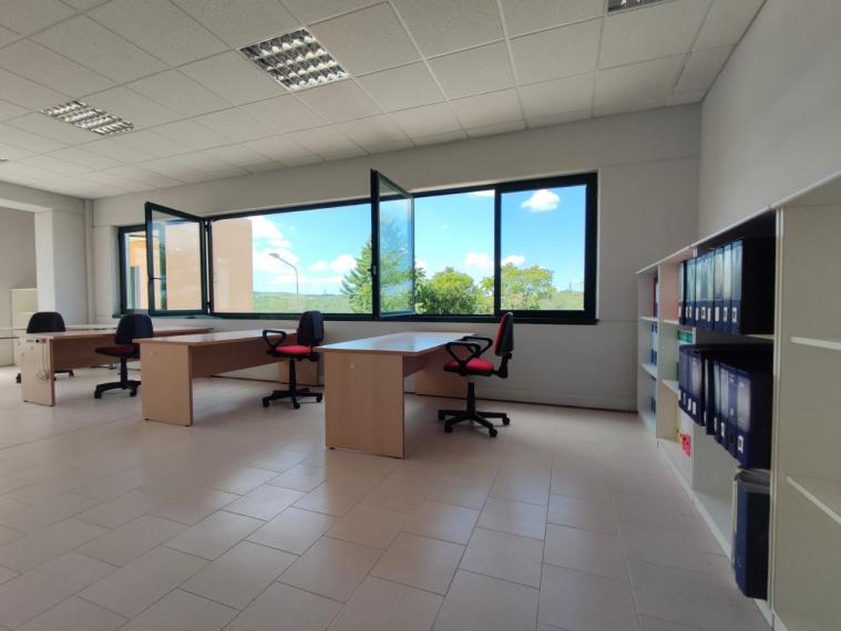 Fano - zona metaurilia - ufficio in locazione
