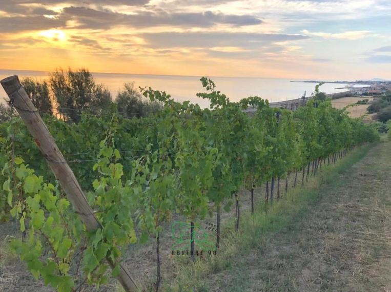 Fano - zona san biagio - rustico casolare cascina in vendita
