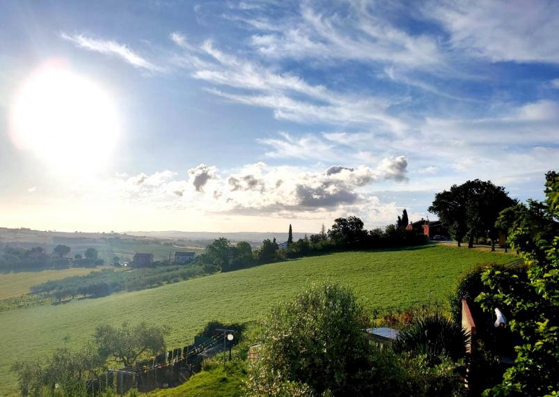 Cartoceto - rustico casolare cascina in vendita