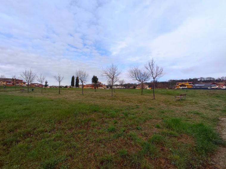 Colli al metauro - terreno in vendita